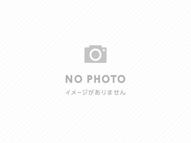 社員情報 渡邉 まゆ 管理物件多数 共栄商事株式会社